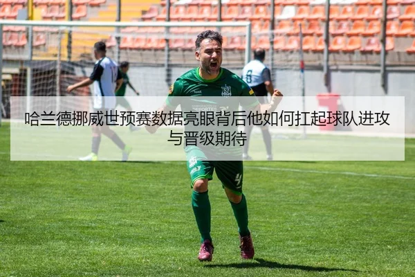 哈兰德挪威世预赛数据亮眼背后他如何扛起球队进攻与晋级期待